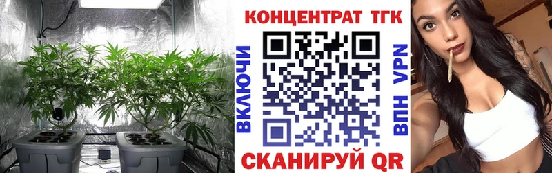 где продают наркотики гидра ссылки ТГК концентрат Белый